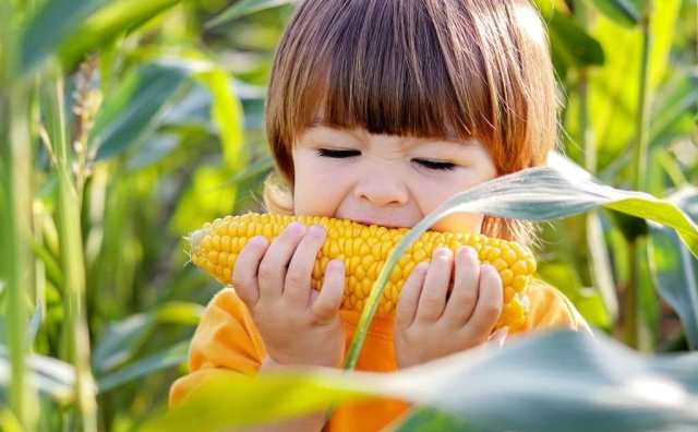 Pourquoi rêver de manger du maïs ?