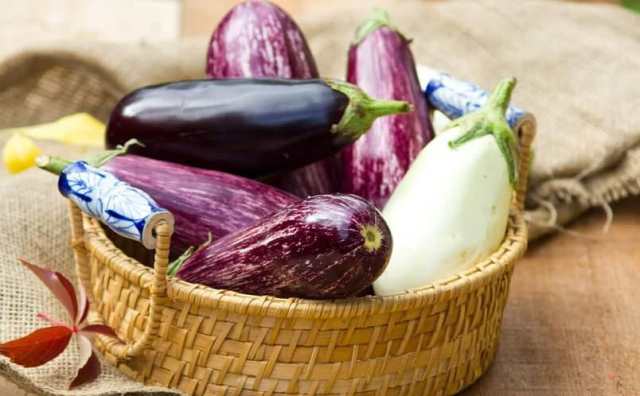 Pourquoi rêver d'aubergine en Islam ?