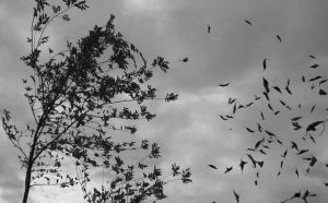 Comment bien interpréter rêver de vent ?