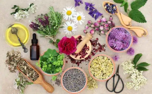 Les bienfaits des huiles essentielles en aromathérapie quand on est malade :