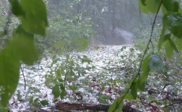 Pourquoi rêver de pluie de grêle ?