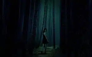 Pourquoi rêver de forêt noire ?