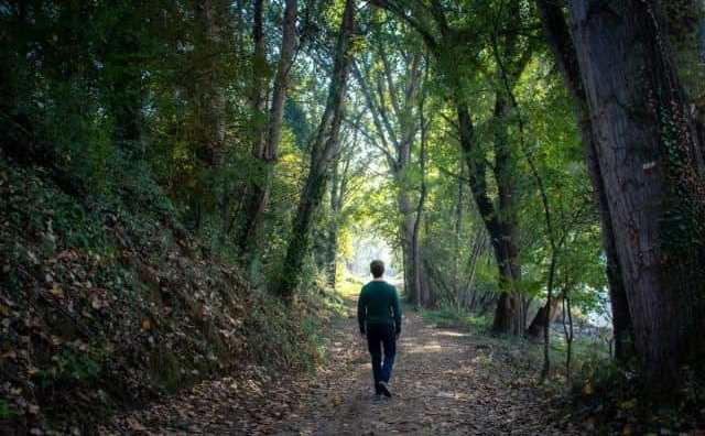 Pourquoi rêver de se promener dans une forêt ?