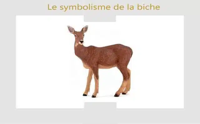 Biche : symbole et signification