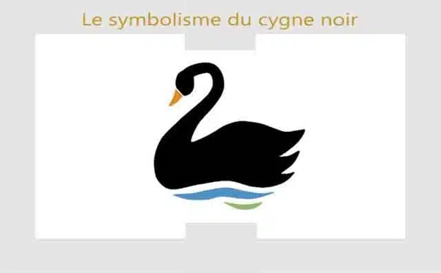 Cygne noir : symbole et signification