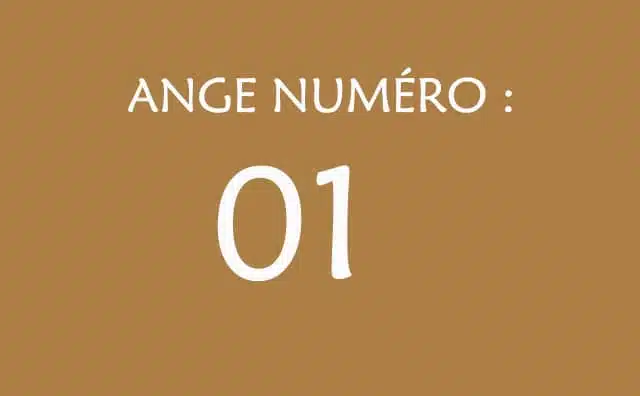 01 - Numéro angélique et message des anges :