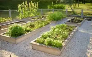 Rêver de parterre : quelles interprétations et significations ?