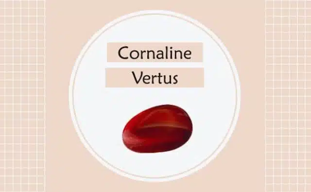 La cornaline et ses vertus en lithothérapie :