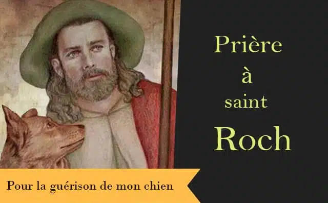 Prière à saint Roch pour la guérison de mon chien :