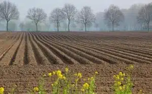 Rêver de labourer la terre : quelles interprétations, symbolisme et significations ?