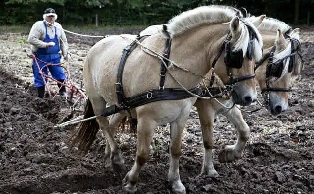 Rêver de laboureur : quelles interprétations, symbolisme et significations ?