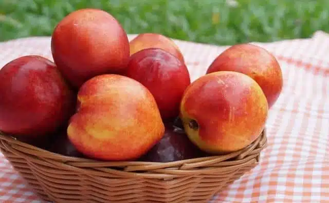 Rêver de nectarines : quelles interprétations, symbolisme et significations ?