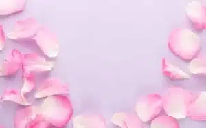 Rêver de pétales de fleurs : quelles interprétations, symbolisme et significations ?