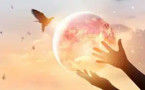 Les 7 richesses – Richesse énergétique et spirituelle