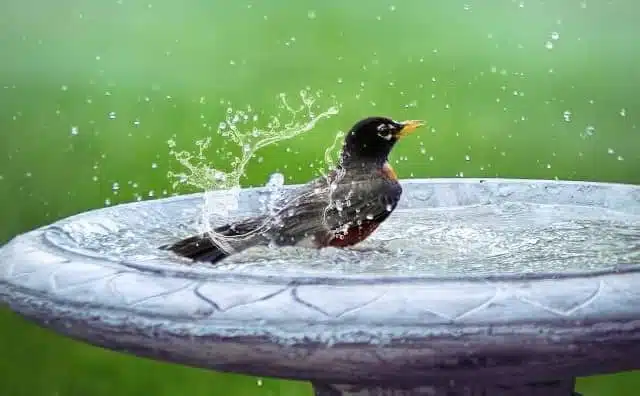 Rêver de bain : quelles interprétations, analyses et significations ?