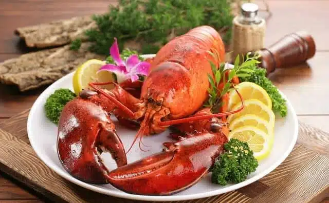 Rêver de langouste : quelles interprétations, symbolisme et significations ?