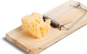 Rêver de souricière : quelles interprétations, analyses et significations ?