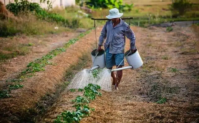 Rêver d'agriculteur : quelles interprétations, analyses et significations ?