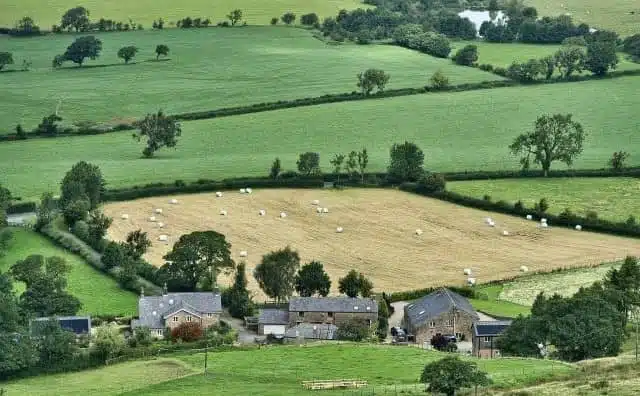 Rêver d'agriculture : quelles interprétations, analyses et significations ?