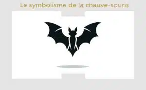 Chauve-souris et ses symboles