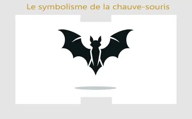 Chauve-souris et ses symboles