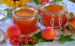 Rêver de confiture d'abricots : quelles interprétations, analyses et significations ?