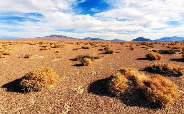 Rêver de steppe : quelles interprétations, analyses et significations ?