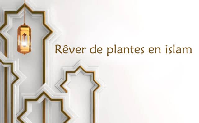 Rêver de plantes interprétation signification en islam: