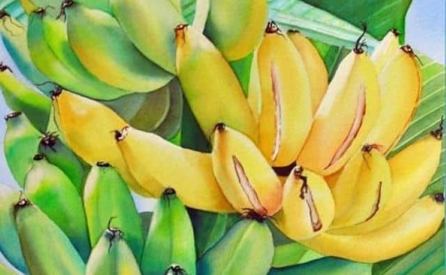 Pourquoi rêver de bananes ?