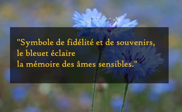 Citation : bleuets