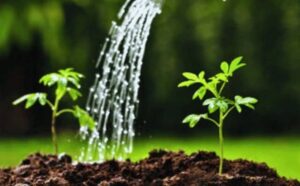 Rêver d'arroser son jardin : signification et interprétations