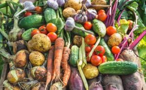 Rêver de récolter des fruits ou des légumes : signification et interprétations