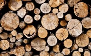 Rêver de bois : signification et interprétations