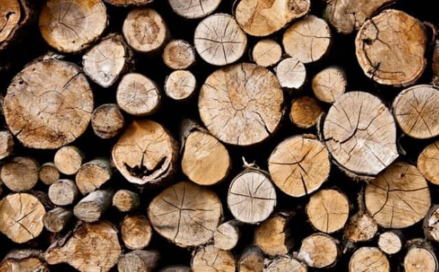 Rêver de bois : signification et interprétations