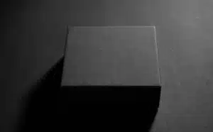 Pourquoi rêver de boite noire ?