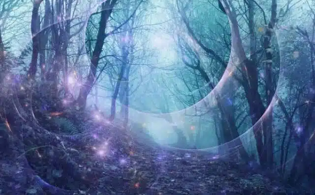 Pourquoi rêver de forêt enchantée ?