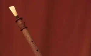 Pourquoi rêver d'aboès ?
