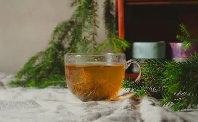 Pourquoi rêver de tisane ?